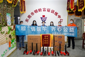 （中国）科技公司电子公益行
